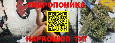 спиды Канаш