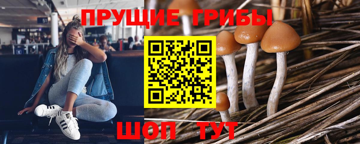 Псилоцибиновые грибы мухоморы Усть-Илимск