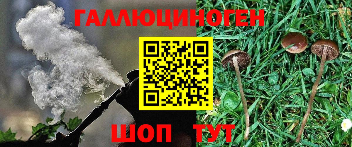 Галлюциногенные грибы мицелий  Вход с VPN  Усть-Илимск 